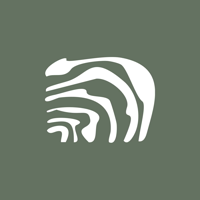 Logo Roots Kite